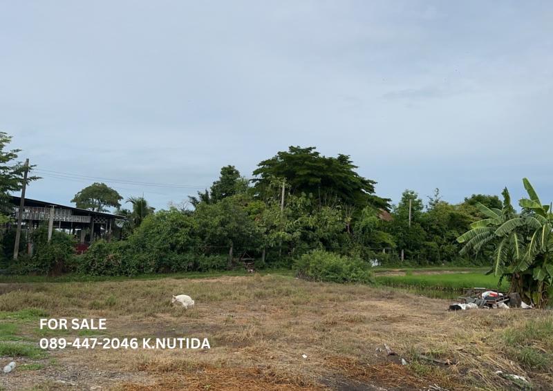 ขายที่ดิน บางใหญ่ นนทบุรี ติดทางหลวงสายบางใหญ่–กาญจนบุรี