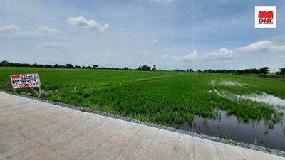 ขายที่ดินเปล่า ติดถนน น้ำฉ่า ฉะเชิงเทรา  ที่นาขนาดเนื้อที่ 6ไร่ 1งาน 18ตร.วา