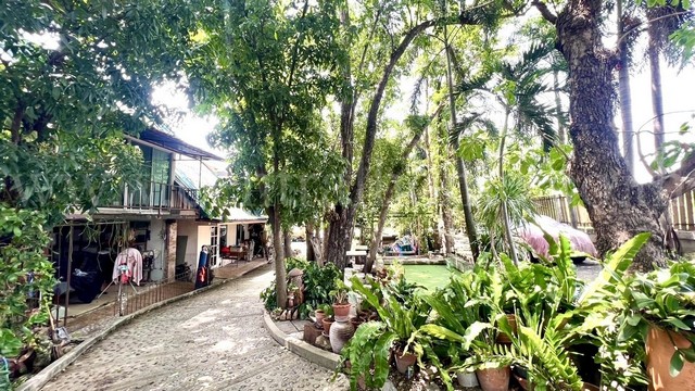 P1 ที่ดิน 2 ไร่ พร้อมสิ่งปลูกสร้าง ไทรน้อย - นนทบุรี