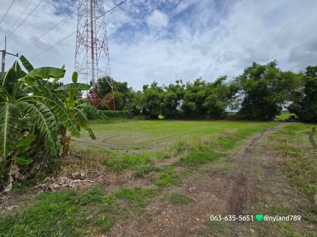 ขายที่สวยติดถนนลาดยาง ต.บ้านพริก อ.บ้านนา จ.นครนายก การเดินทางสะดวกสบายถนนดีตลอดเส้นทาง