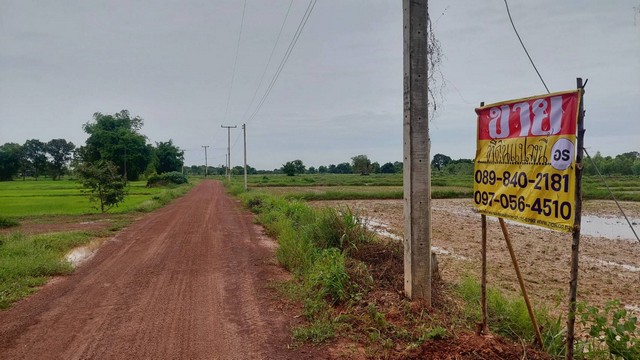 ขายที่ดินติดถนน 9-4-0 ไร่  ซอยวัดโคกป่าฝาง  ต. ปะโค อ.เมือง จ.หนองคาย   ZP120