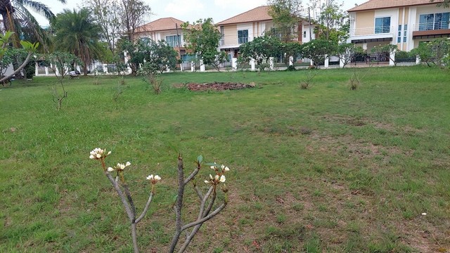 ขายที่ดินสวยขายถูก 116.9 ตร.วา  หมู่บ้านกฤกษณา  ถ.มิตรภาพ ต.หมูม่น อ.เมือง จ.อุดรธานี   ZP121