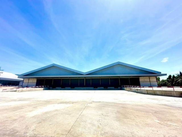 TEL :088-559 5199 คุณเอLine: https://line.me/ti/p/C0eGe0whLXให้เช่าโกดัง โรงงาน ทำเลดี บ้านบึง ชลบุรีเนื้อที่ 2,000 ตรม. ให้เช่าตารางเมตรละ 100 บาท / เดือน ( 200,000 บาท / เดือน )ประกัน 3 เดือน - ล่วงหน้า 1 เดือน สัญญาขั้นต่ำ 3 ปี - 3 Dockload- ลานจอดรถ - รถเทรนเลอร์เข้าออกสะดวกสบาย - ใกล้ถนนใหญ่T : A4