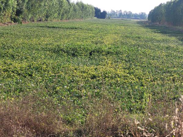 ขายที่ดินทำเลทอง 10 ไร่  เขตขาณุวรลักษบุรี จังหวัดกำแพงเพชร