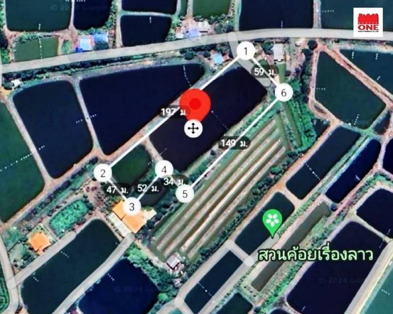 ขายที่ดินบ่อกุ้ง ติดถนนสาธารณะ บางกระเจ็ดฉะเชิงเทรา เนื้อที่ 7 ไร่ 2งาน 89 ตร.วา