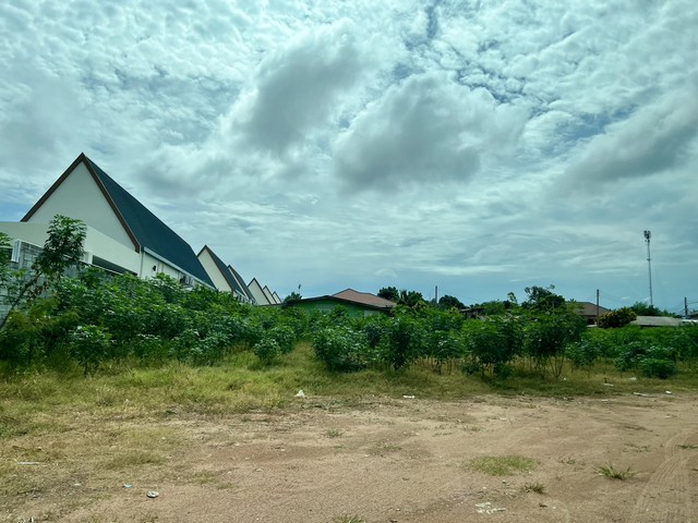 ขายด่วนๆ ที่ดินทำเลทอง สวยมากๆ ราคาถูก ตำบลหนองปรือ อำเภอบางละมุง จังหวัดชลบุรี