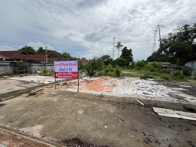 ขายด่วนๆ ที่ดินราคาถูก ขนาด 2 ไร่ ตำบลหนองปรือ อำเภอบางละมุง จังหวัดชลบุรี