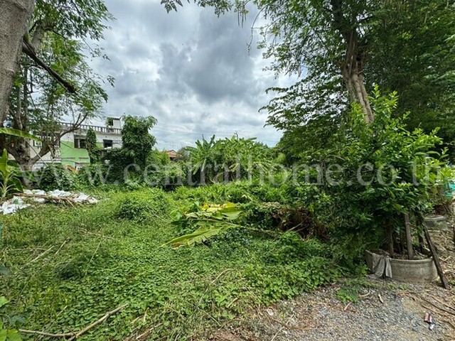 รหัสทรัพย์  5341ที่ดิน  49.1 ตารางวา ซอยรณสิทธิพิชัย8/1 ใกล้ตลาดฐานเพชรนนท์ที่ตั้ง : ตำบลบางกระสอ อำเภอเมืองนนทบุรี นนทบุรี 11000รายละเอียดทรัพย์ :- ที่ดินเปล่า ขนาดพื้นที่ 49.1 ตารางวา- หักทิศตะวันออกสถานที่สำคัญ ใกล้เคียง :- ตลาดฐานเพชรนนท์- ตลาดนกฮูก- ตลาดต้นสัก- เซ็นทรัลรัตนาธิเบศร์- กระทรวงพาณิชย์- สำนักงานสลากกินแบ่งรัฐบาล- ศูนย์ราชการจังหวัดนนทบุร