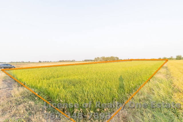 ขายที่ดิน ติดทางสาธารณะ  ที่นา ถูกมาก ต.แสวงหา อ.แสวงหา จ.อ่างทอง 