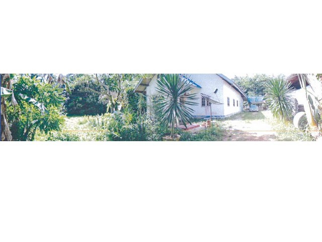 ขายบ้านเดี่ยวมือสอง อำเภอป่าบอน จังหวัดพัทลุง