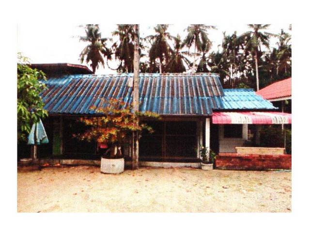 ขายบ้านเดี่ยวมือสอง  อำเภอตะโหมด  จังหวัดพัทลุง