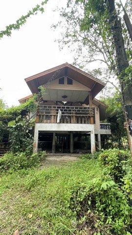 Code ID : PGPLG5412  ราคา 1,070,000   บาท ▸ เนื้อที่ 87.90 ตร.ว  พื้นที่ใช้สอย 96 ตร.ม.  * 2 ห้องนอน 2 ห้องน้ำ   * 1 ที่จอดรถ   บ้านหันไปทางทิศเหนือ  พิกัดทรัพย์ : https://maps.app.goo.gl/bDce2q3hNp2vKKPk6  สถานที่ใกล้เคียง ▸ใกล้  โรงพยาบาลตะโหมด ▸ใกล้  โลตัส แม่ขรี ▸ใกล้  โรงเรียนตะโหมด ▸ใกล้  วัดตะโหมด  สอบถามเพิ่มเติม / นัดชม โทร. 097-419-5982(พลอย) โทร. 096-932-4624(ออมสิน) Line : @panaya (มี@ด้านหน้า)  ปรึกษาสินเชื่อฟรี One Stop Service ดูแลตั้งแต่ต้นจนจบบริษัท ปณย