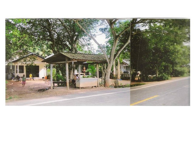 ขายบ้านเดี่ยวมือสอง อำเภอเขาชัยสน จังหวัดพัทลุง