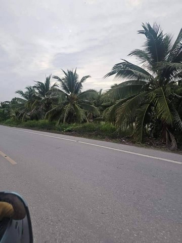 ขายด่วน​ ที่ดินติดถนนหลักเส้น​ ยกกระบัตร​-หลักสี่​  ต.ยกกระบัตร​ อ.บ้านแพ้ว​ จ.สมุทรสาคร