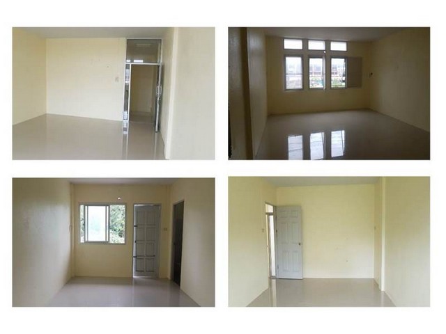 ขายอาคารพานิชย์มือสอง อำเภอตะโหมด จังหวัดพัทลุง