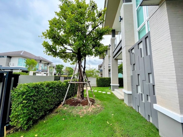 เฟอร์ บิ้วอิน  ม.ราชภัฏพิบูลย์ เซนทรัลพิษณุโลก 2.5 กม. 3นอน ให้เช่าบ้านหรู เดี่ยว2 ชั้น  5 แอร์ 70 ตรว.