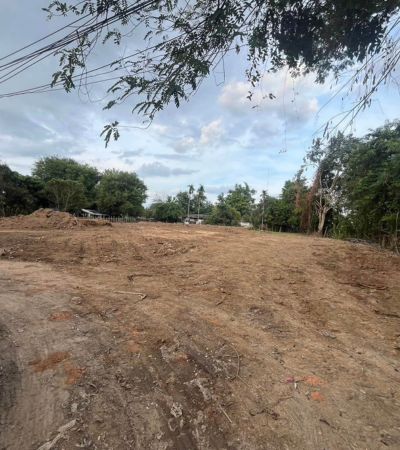 ติดต่อ หลิน 088 598 6998 Line ID: positive.agเหลือ1,990,000 บาท*(ลดจาก 2.2 ล้านบาท) ขายที่ดิน หลัง รร.นานาชาตินครพายัพ (NIS) บ้านร้องอ้อ ต.สันผีเสื้อ ตัวเมืองเชียงใหม่ เนื้อที่: 189 ตารางวา .ไฮไลท์ทำเล- หลังโรงเรียนนานาชาตินครพายัพ (NIS) ปั่นจักรยานมาโรงเรียนได้- ใกล้แยกรวมโชค - พื้นที่ชุมชน และร้านค้าต่างๆ - เดินทางสะดวก สามารถออกวงแหวนรอบ 2 หรือรอบ 3 ได้ เข้าออกได้หลายทาง- พื้นที่แห่งอนาคต ถนนทางหล