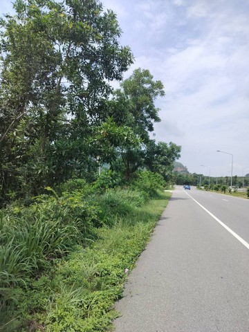 ขายที่ดินติดถนนลพบุรีราเมศวร์  ตำบลน้ำน้อย อำเภอหาดใหญ่   จังหวัดสงขลา