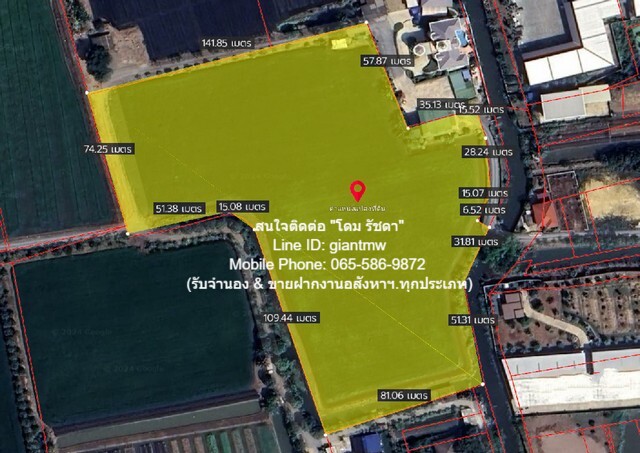 ขายที่ทุ่งนา และสวนเกษตร ใกล้วัดต้นเชือก บางใหญ่ จ.นนทบุรี (น.ส.4 จ) 13-0-68.6 ไร่, 6 ล้านบาท/ไร่