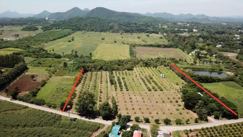 ขายที่ดินเขาใหญ่ พร้อมบ้าน 1 หลัง เนื้อที่ 24 ไร่ 181 ตรว.บรรยากาศเยี่ยม ต.หมูสี อ.ปากช่อง จ. นครราชสีมา ( โฉนดที่ดิน นส ๔ จ )ราคาขาย 90,000,000 บาท ( ราคา 3.7 ล้านบาท/ไร่) ( โอนคนละครึ่ง )ที่ตั้ง ตำบลหมูสี อำเภอปากช่อง จังหวัดครราชสีมาติดต่อ : คุณภัสพงณ์ 063-409-8164Line : deedaa23เนื้อที่ 24 ไร่ 181 ตารางวา หน้ากว้างติดถนนดำ 180 เมตร ความยาว 217 เมตรมีไฟฟ้าและน้ำประปาภูมิภาคผ่านหน้าที่ดิน ที่ดินมีรั้วคา�