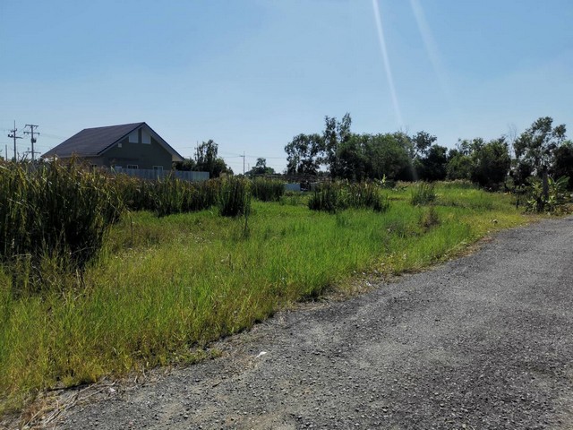 ที่ดินคลอง6 (ซอยคึกฤทธิ์) 1 ไร่ (เข้าซอย100เมตร) ใกล้แยกหนองเสือ