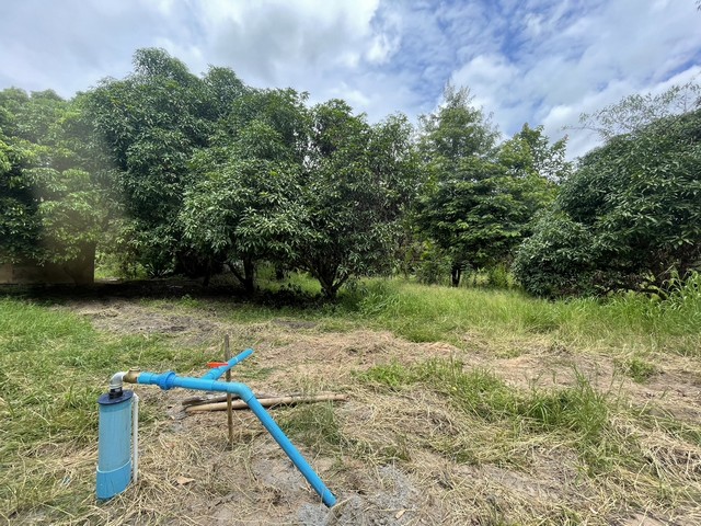 ขายที่ดิน  ติดถนน ซุปเปอร์ไฮเวย์ เชียงใหม่-ลำปาง12 ไร่  - 3 งาน  ราคา  30 ล้านบาท****รับนายหน้าช่วยขาย****ที่ดิน ติดถนนใหญ่ หน้ากว้าง 220 เมตร  ถนน ซุปเปอร์ไฮเวย์ เชียงใหม่ลำปางอำเภอเมือง จังหวัดลำพูน ใกล้ศูนย์ราชการจังหวัดลำพูนเหมาะสำหรับทำ โครงการร้านค้าริมทาง ปั้มน้ำมัน  แหล่งท่องเที่ยว หรือโครงการต่างๆโทร 0930985566 ฝ้าย , 0864281460  แม่ตุ๊  (เจ้าของ)Location  : G44J+FCV Si Bua Ban, Mueang Lamphun District, Lamphunตำบลศ