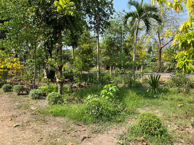 แบ่งให้เช่าที่ดิน ทำเลดี ใกล้วัดป่าคลอง 11 อำเภอหนองเสือ จังหวัดปทุมธานี