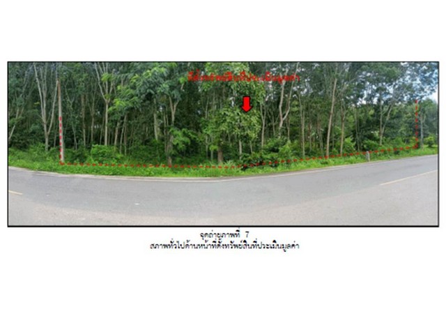 ขายที่ดิน ตำบลบ้านพร้าว อำเภอป่าพะยอม จังหวัดพัทลุง