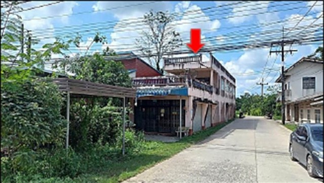   Code ID :  PGPLG-LB-A-660001  ราคา 1,850,000  บาท ▸ เนื้อที่ 46 ตร.ว  พื้นที่ใช้สอย 301.6 ตร.ม.  * 2 ห้องนอน 2 ห้องน้ำ   * 1 ที่จอดรถ   บ้านหันไปทางทิศตะวันออก  พิกัดทรัพย์ : https://maps.app.goo.gl/EBb3y9RaYbykY1fP8  สถานที่ใกล้เคียง ▸ใกล้  โรงพยาบาลป่าบอน ▸ใกล้  วัดป่าบอนบน ▸ใกล้  วัดหนองนก  ▸ใกล้  PTT Station ปตท.ป่าบอน  สอบถามเพิ่มเติม / นัดชม โทร. 097-419-5982(พลอย) โทร. 096-932-4624(ออมสิน) Line : @panaya (มี@ด้านหน้า)  ปรึกษาสินเชื่อฟรี One Stop Service ดูแลตั้งแต่ต้นจนจบบริ�