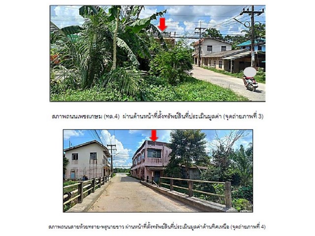 ขายบ้านเดี่ยวมือสอง อำเภอป่าบอน  จังหวัดพัทลุง