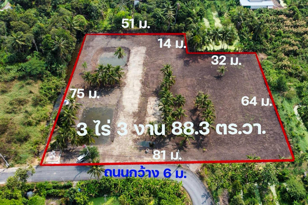  ขายที่ดิน ใกล้แม่น้ำเจ้าพระยา ซ.ไทรม้า 5 นนทบุรี ที่ถมแล้วเกือบ 4 ไร่ ใกล้รถไฟฟ้า ใกล้โครงการสะพานสนามบินน้ำ