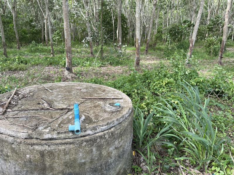 ที่ดินเปล่าพร้อมสวนยาง ราคา 16,500,000 บาท สามารถต่อรองได้ ค่าใช้จ่าย ณ วันโอนคนละครึ่งเหตุผลที่อยากขายเพราะต้องการแบ่งมรดกให้ลูกหลาน ( เจ้าของที่ใจดีมาก )ต้นยางพร้อมกรีดมีน้ำยางแล้ว ที่ดินจำนวน 22 ไร่ 3 งาน 48 ตรว. ลักษณ์ที่เป็น 5 เหลี่ยม ด้านเท่า หน้ากว้าง 124 เมตร ลึก 268 เมตรที่ดินติดถนนราดยาง กว้าง 4 เมตร มีถนน ผ่านด้านขวาและด้านหลัง น้ำและไฟฟ้าเข้าถึงสามารถซื้อลงท