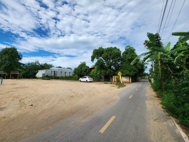 ขายที่ดิน ปากช่อง แปลงสวย ถมแล้ว   197 ตร.ว. ใกล้คลองลำตะคอง อ.ปากช่อง นครราชสีมา