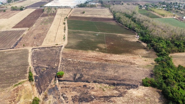 ขายที่ดิน 45ไร่ ต.ประดู่งาม อ.ศรีเทพ จ.เพชรบูรณ์ (แบ่งเป็น 2แปลง)