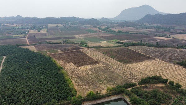 ขายที่ดิน 56ไร่ ต.ประดู่งาม อ.ศรีเทพ จ.เพชรบูรณ์ แปลง1 33-1-48 ไร่ แปลง2 22-3-67 ไร่