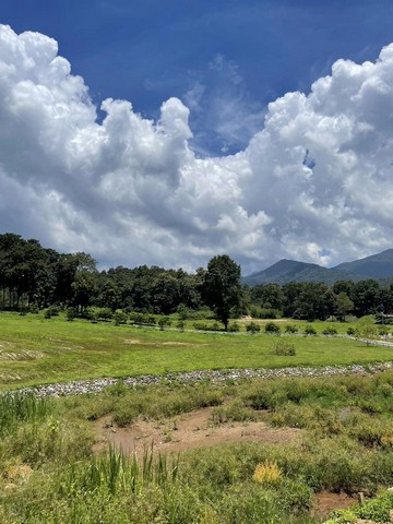 ขายที่ดินวิวเขา ต.บ้านปง อ.หางดง จ.เชียงใหม่ 43 ไร่ มีน้ำตกธรรมชาติ เหมาะสำหรับทำรีสอร์ท  พื้นที่ปรับและพัฒนาแล้ว