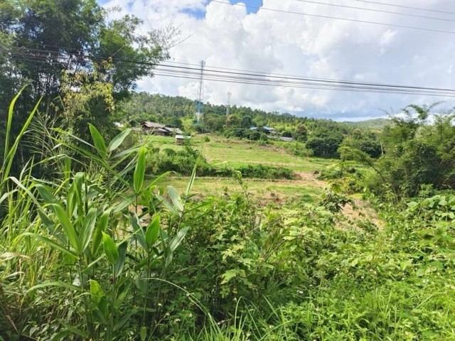 ที่ดินติดลำธาร น้ำประปา ไฟฟ้าครบ แม่สาบ สะเมิง