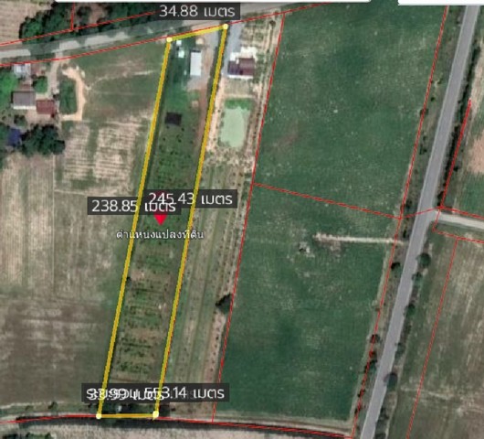 ขายที่ดินสวนทุเรียนและผลไม้ 5 ไร่ หนองหญ้าไซ   สุพรรณบุรี  ZK299