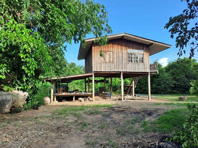 ขายที่ดินเปล่า 21-1-60 ไร่ อยู่ในย่านชุมชน  ต.พยุหะคีรี  นครสวรรค์  ZK320