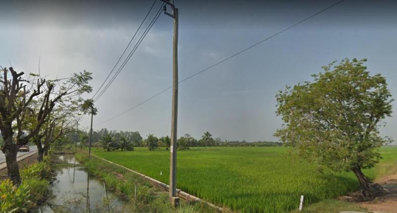 ขายที่ดินลาดกระบัง39ไร่ ถนนขุมทอง-ลำต้อยติ่งเขตลาดกระบัง ราคา7ล้านบาทต่อไร่