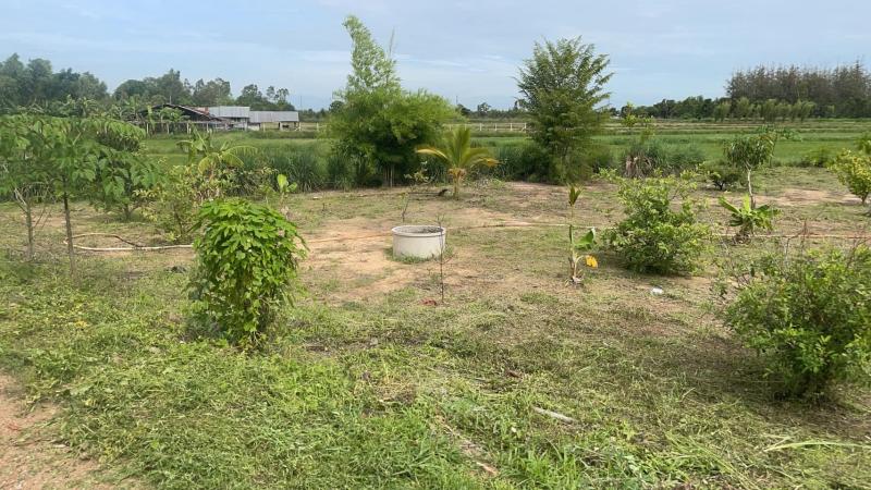 ขายที่ดินเปล่า 200 ตร.ว. ใกล้คลองชลประทาน ต.ดอนทอง จ.พิษณุโลก