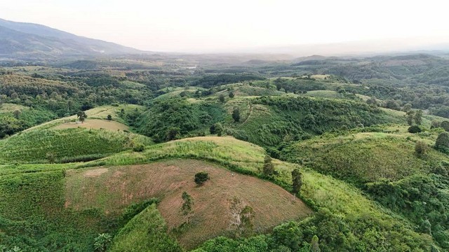 ูที่ดินแปลงสวยเนินหลังเต่าวิว 100 ล้าน บรรยากาศดี หาที่ไหนไม่ได้แล้ว