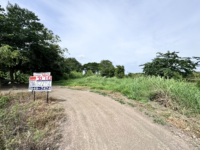 ขาย ที่ดินติดถนนทางหลวง3309 ทำเลทอง! เหมาะแก่การลงทุน ต.สามคิ้ว อ.สามโคก จ.ปทุมธานีโอกาสในการลงทุน: เหมาะสำหรับการลงทุนที่มีศักยภาพสูง! มีโครงการ mega project ถนนตัดใหม่ที่จะเริ่มก่อสร้างปลายปีนี้C-9188รายละเอียดทำเลที่ตั้ง: ต.สามคิ้ว อ.สามโคก จ.ปทุมธานีรายละเอียดที่ดิน:• ขนาด: ที่ดินสวย 2 ไร่ 37 ตร.ว.• ขนาดที่ดิน: หน้ากว้างประมาณ 36 เมตร ลึก 90 เมตร• ศักยภาพในการพัฒนา: เหมาะสำหร