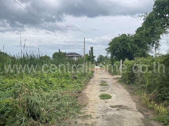 ที่ดิน 120 ตารางวา ทวีวัฒนา ตลิ่งชัน ห่างจากถนนทวีวัฒนา-กาญจนาภิเษก 20 เมตร