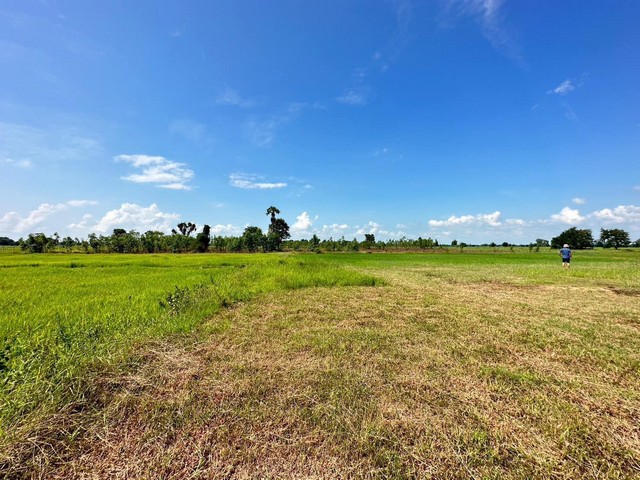 ที่ดิน 18 ไร่ โซนบุรีรัมย์ ตำบลสองชั้น อำเภอกระสัง ทางหลวง 226 เส้นสุรินทร์-บุรีรัมย์ ที่ผืนนี้ติดจังหวัดบุรีรัมย์ เพียง 15กม.เท่านั้น อำเภอกระสัง จังหวัดบุรีรัมย์ ราคา 1.5 ลบ.ต่อไร่ ค่าโอนคนละครึ่งมีถนนทางหลวง ลาดยาง 4 เลน เส้น 226ไฟฟ้า 3 เฟส ติดหน้าที่ดินประปาเข้าถึงพื้นที่โลเคชั่นเหมาะที่พัฒนาทำธุรกิจ เช่น พาณิชยกรรม โรงงานอุตสาหกรรมบางประเภท สถาบันการศึกษา สถ�