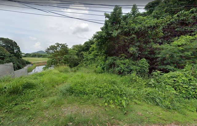 ขายที่ดิน ตำบลวิชิต อำเภอเมืองภูเก็ต จังหวัดภูเก็ต