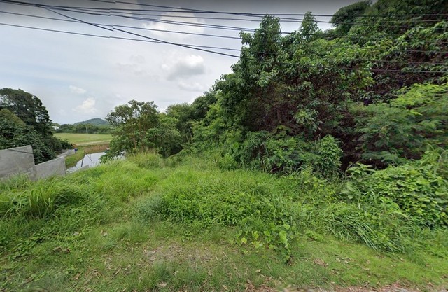 ขายที่ดิน ตำบลวิชิต อำเภอเมืองภูเก็ต จังหวัดภูเก็ต