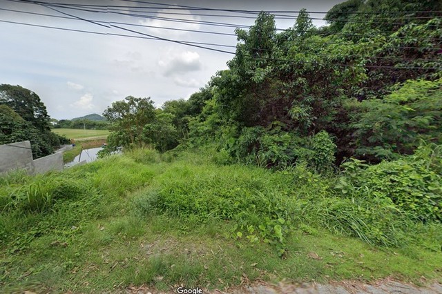 ขายที่ดิน ตำบลวิชิต อำเภอเมืองภูเก็ต จังหวัดภูเก็ต