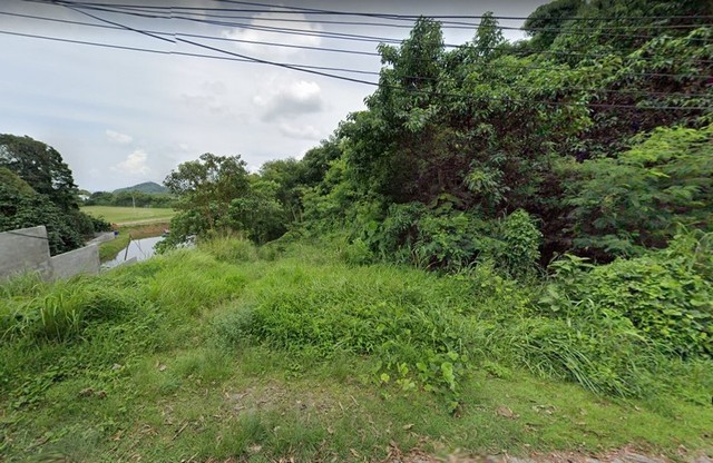 ขายที่ดิน ตำบลวิชิต อำเภอเมืองภูเก็ต จังหวัดภูเก็ต