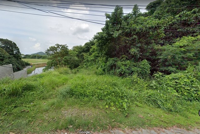 ขายที่ดิน ตำบลวิชิต อำเภอเมืองภูเก็ต จังหวัดภูเก็ต